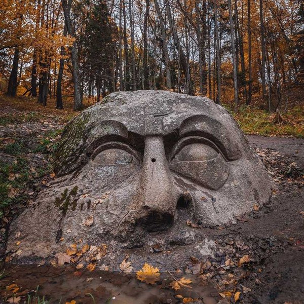 Путешествие в мир заброшенных усадеб - из Петербурга