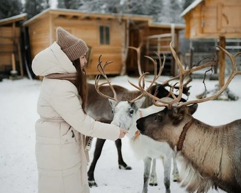 Хибины: традиционные забавы, арктический обед, снегоходный тур, катание на упряжке