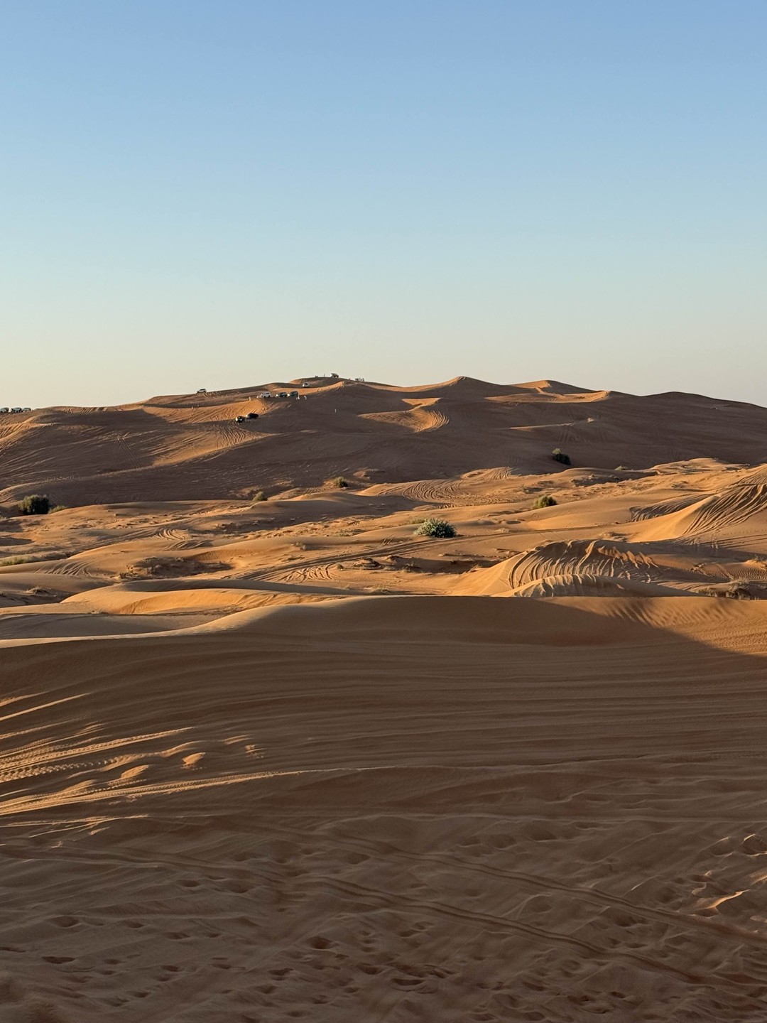 Отличное путешествие! Фида, наш водитель, просто супер!!!! Очень вежлив, галантен! Обязательно вернусь снова!!!