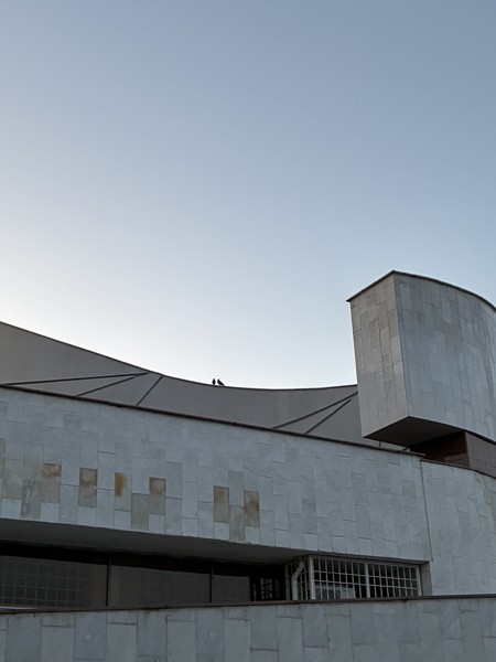 Индивидуальная Экскурсия с собакой с тарифами (Ислам)