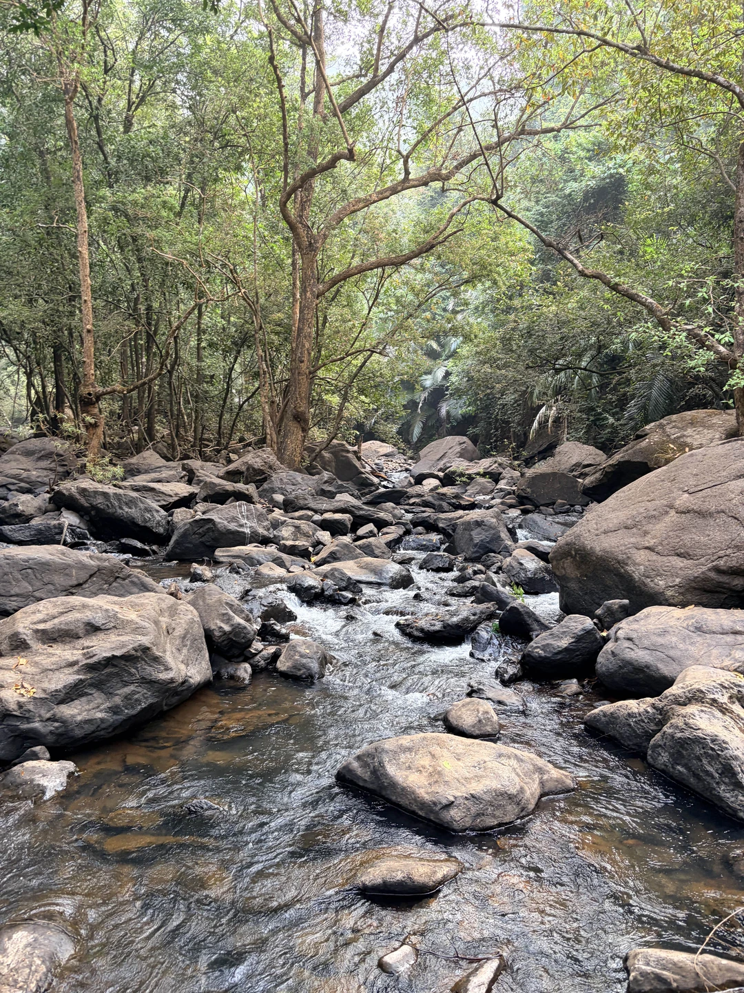 Очень красивые места и интересная и богатая история