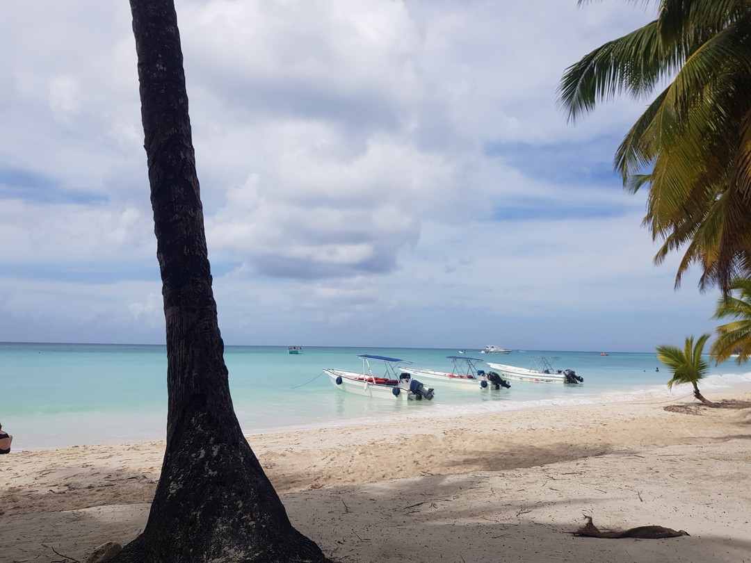 Семья 5 человек, двое детей 7 и 11 лет