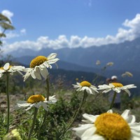 Фото отзыва 3: экскурсия "Мини-поход на Бзерпинский карниз"