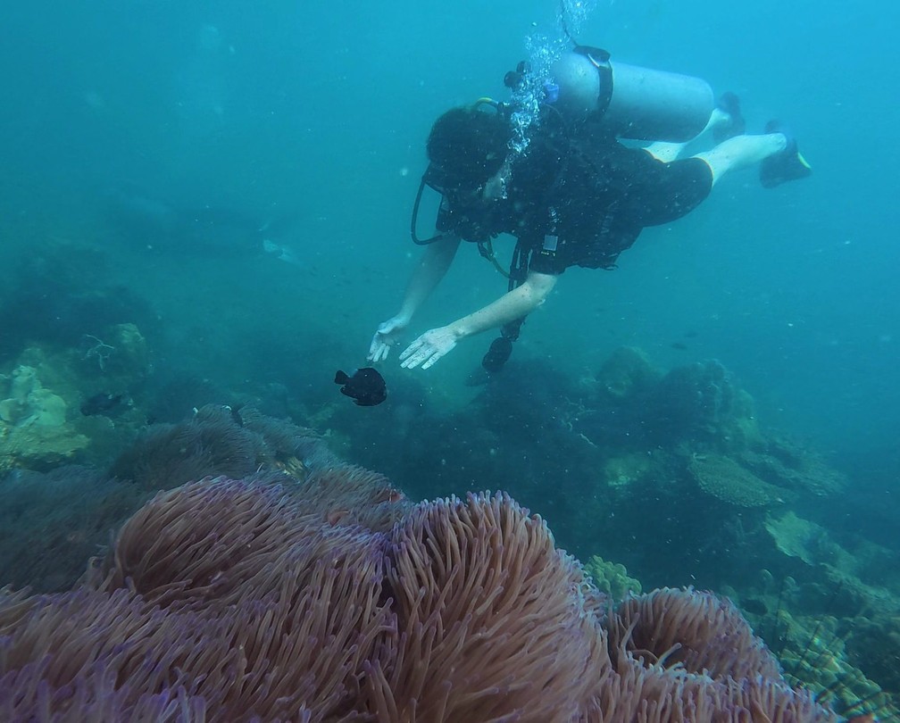 На Фукуоке ничего интересного рядом с отелем не увидеть. Чтобы увидеть подводный мир надо плыть на