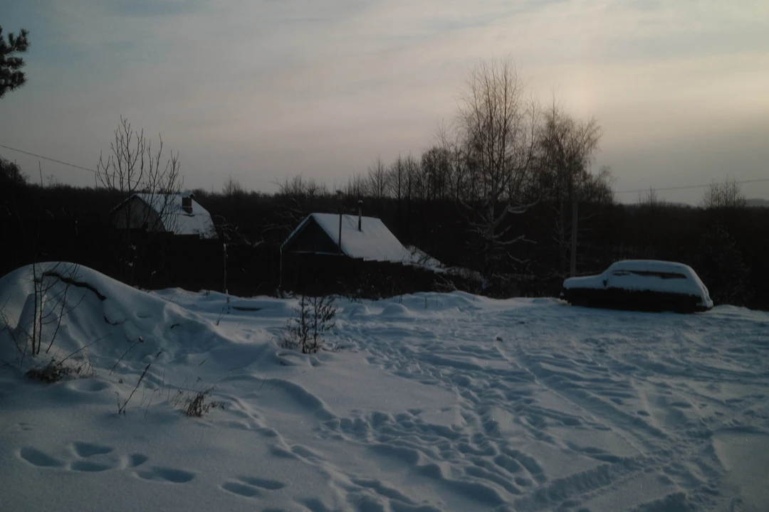 Вышла добрая поездка на лошадях в сопровождении бодрого пса Швондера. Очень хотелось посмотреть на нормальную русскую