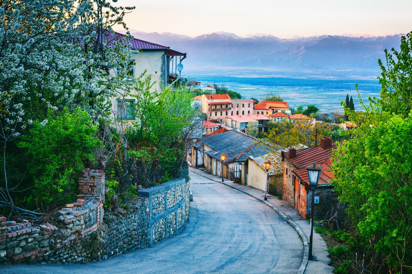 Сбор урожая в Грузии: гастротур с дегустациями и фотосессией в виноградниках (11/15)