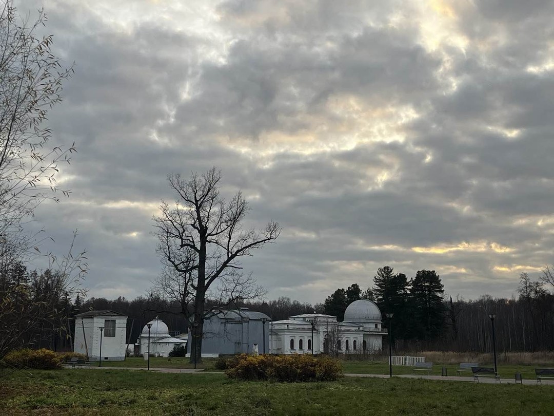 На данной экскурсии гид была Елена. Спокойно и терпеливо, обстоятельно отвечала на все вопросы. Мы очень довольны.