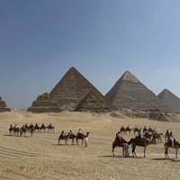 reviews img