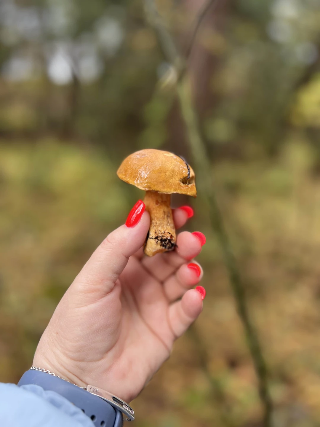 Творческая фотопоездка по Куршской косе (Oksana)