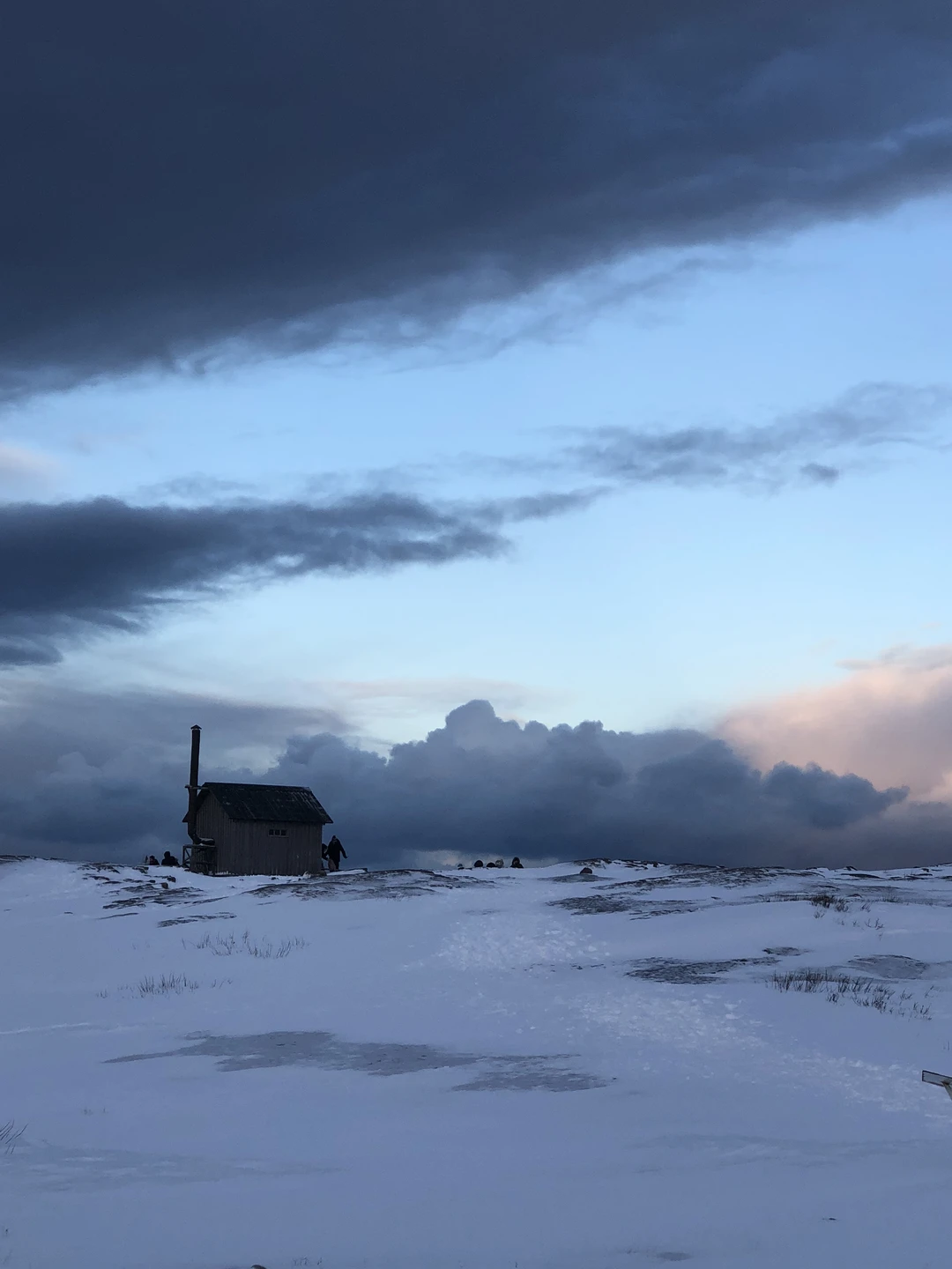 Киты, тюлени и невероятная Териберка (Юлия)