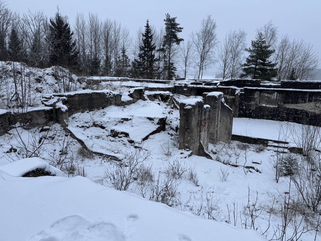 Мы - жители Питера, в Выборге бываем несколько раз в году, тем более, что у нас и дача рядом. Казалось бы: что нового мы можем узнать?
