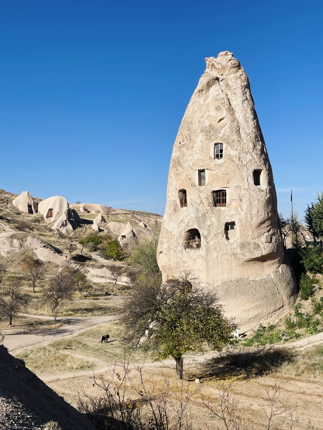 Отличный тур! Организатор всегда на связи, всё четко: трансферы, самолеты, отель и экскурсии, везде всё было понятно и вовремя