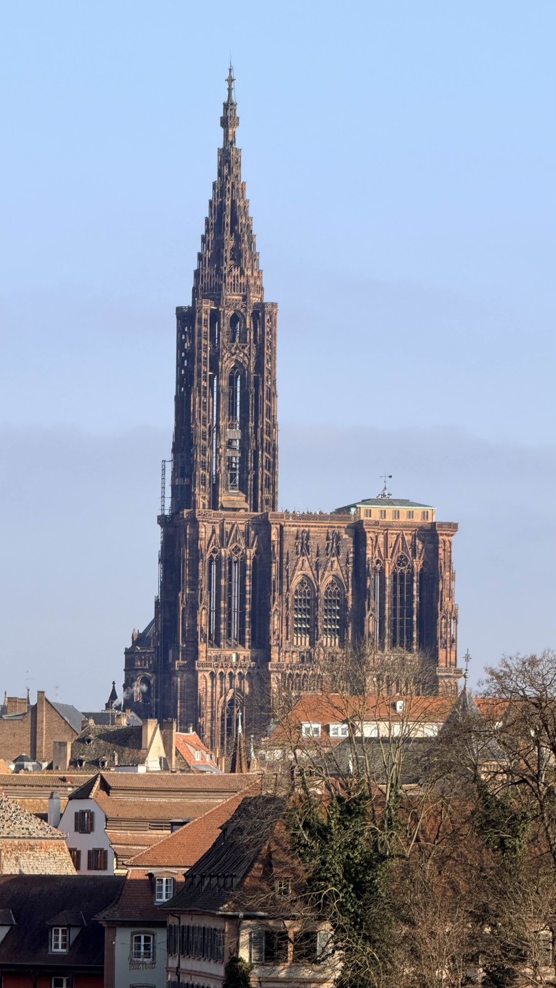 Очаровательный Страсбург в сопровождении очаровательной Марины раскрыл все свои тайны и сокровища. Легко и незаметно пролетели