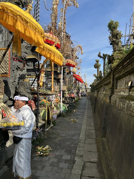 Прекрасная экскурсия, очень интересная, комфортная и познавательная!