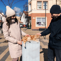 Фото отзыва 3: экскурсия "Из Калининграда в Зеленоградск: фотопрогулка"