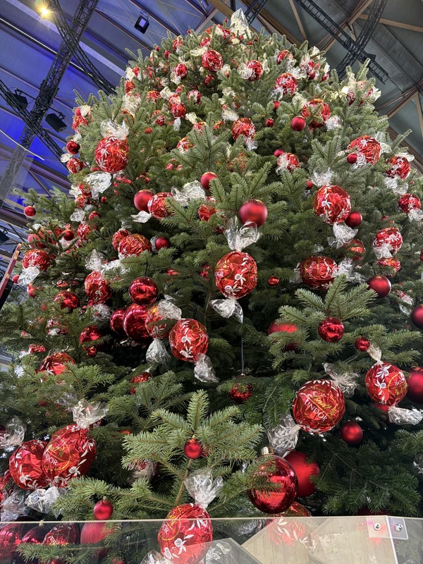 Цюрих - путешествие во времени