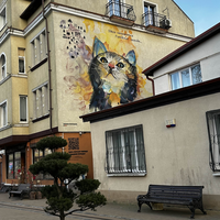 Фото отзыва 10: экскурсия "Куршская коса и 3 курорта Балтики за 1 день! Индивидуальная экскурсия"