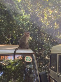 Фото отзыва 2: экскурсия "Весь Гоа за один день: групповая экскурсия"