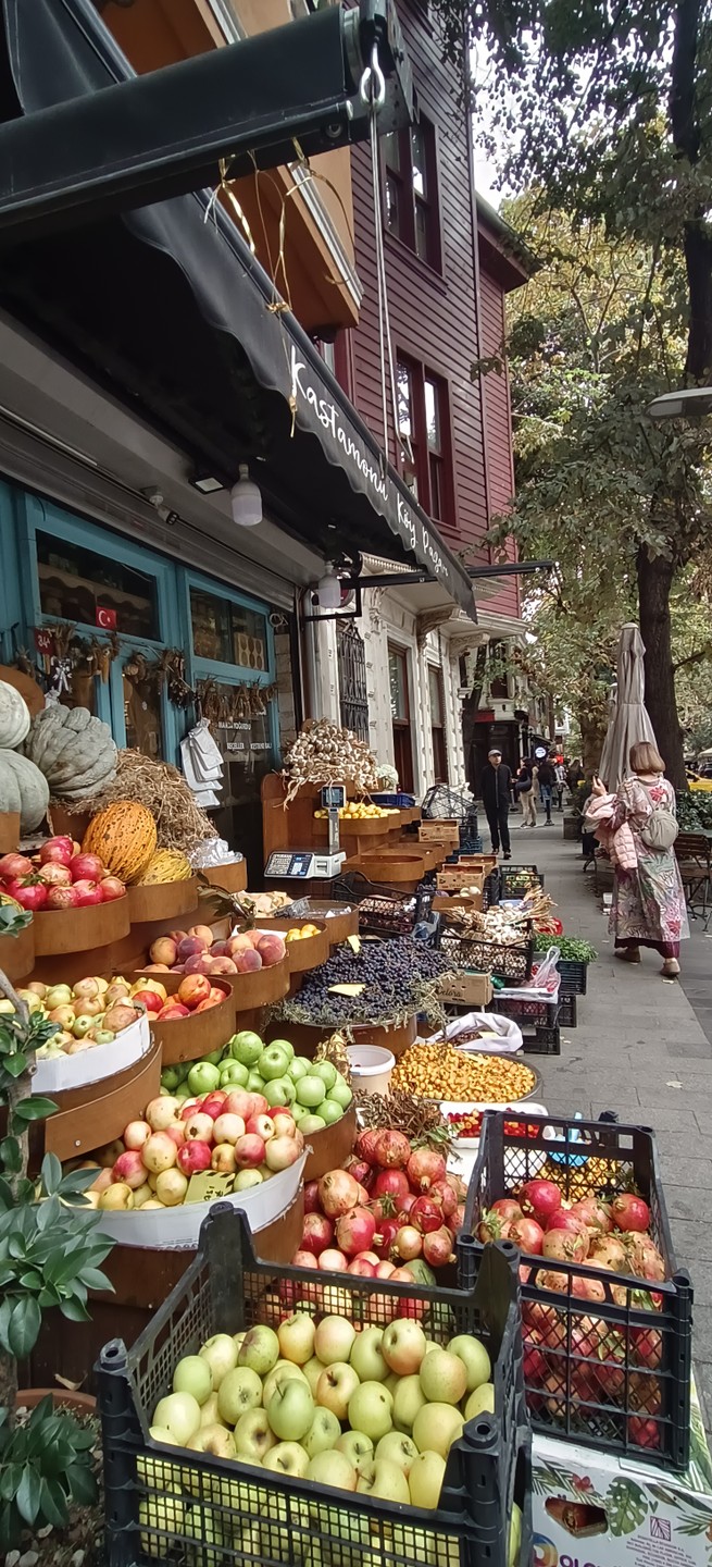 Стамбул по-настоящему (Наталья)