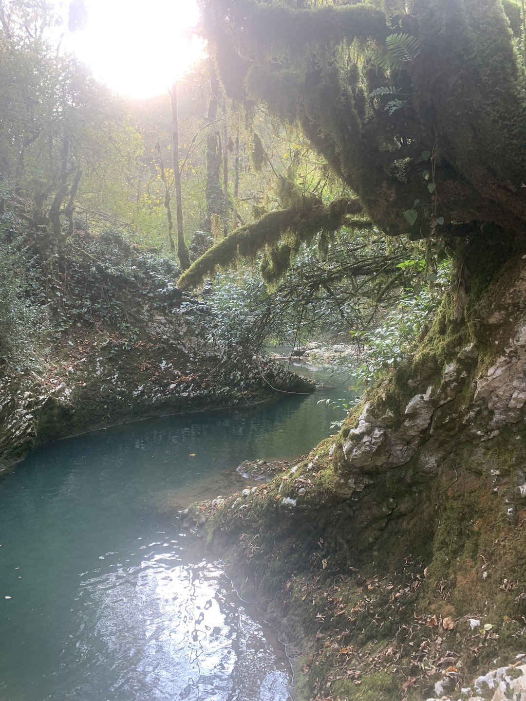 Это было незабываемое путешествие 😍гид Амир, водитель Гуруф, большие молодцы! Мы в Абхазии не в первый