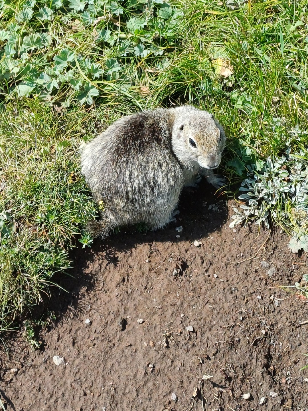 Путешествие в Джилы-Су из Пятигорска (Светлана)