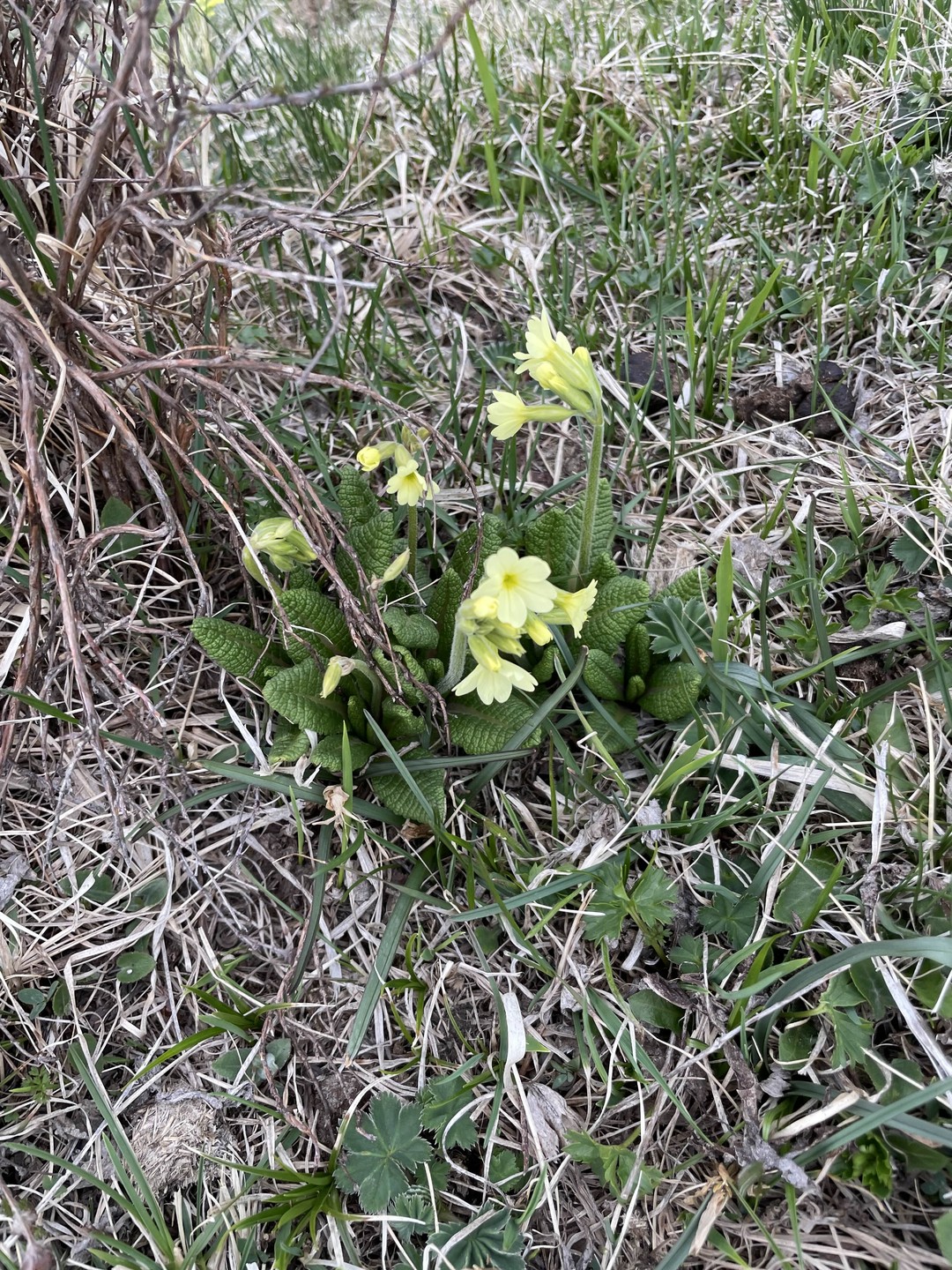 Самая лучшая экскурсия из всех на которых мы смогли побывать в Дагестане. 🗻⛰️🏔️Нурав профессионал своего дела