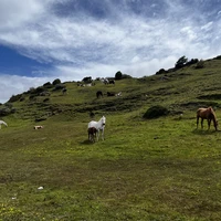 Фото отзыва 1: экскурсия "Треккинг между двумя океанами: залив Бигль во всей красе"