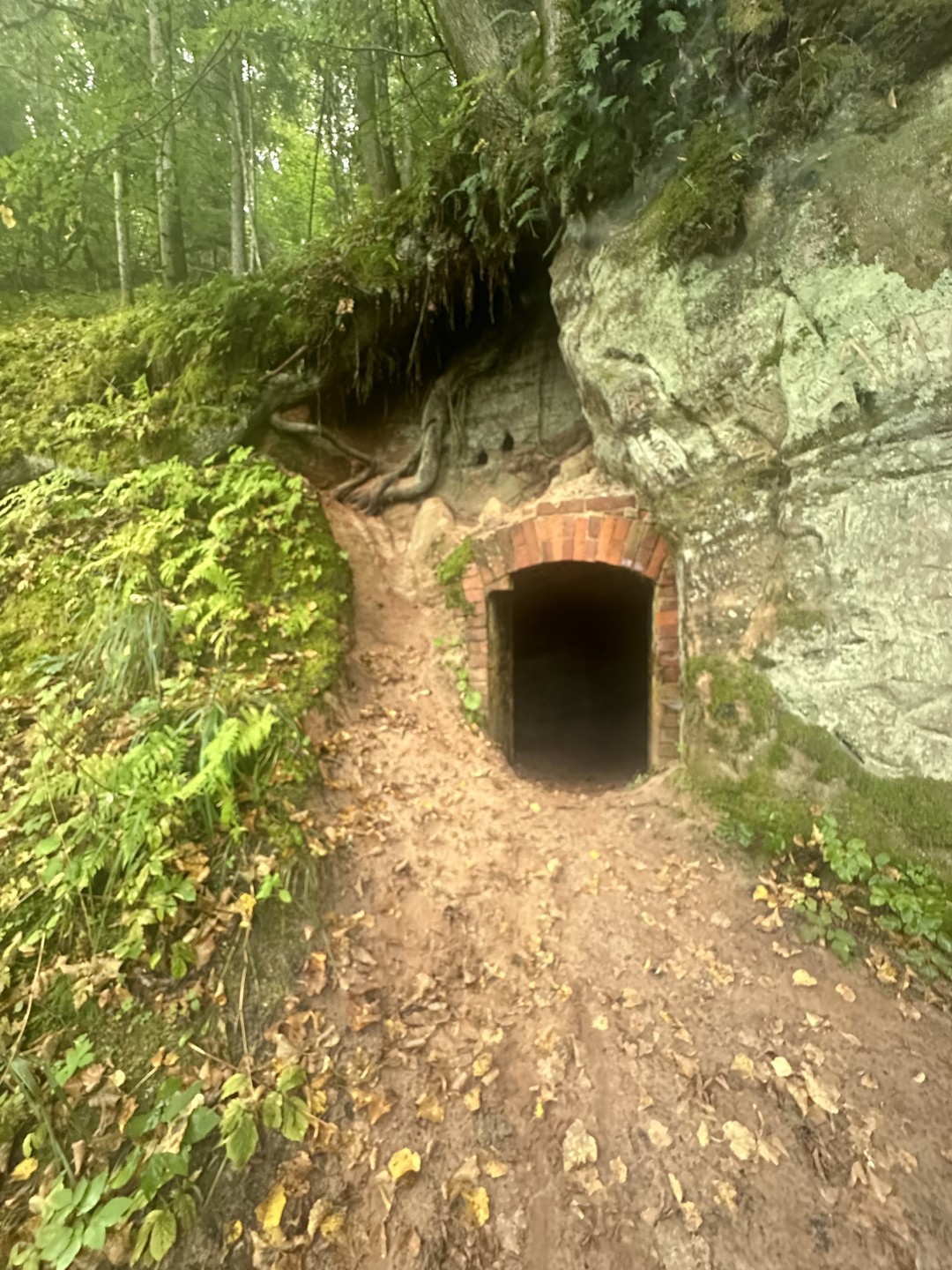 Прекрасный день с отличным гидом! Редко встретишь настолько знающего и любящего свое дело профессионала! Полнейший восторг