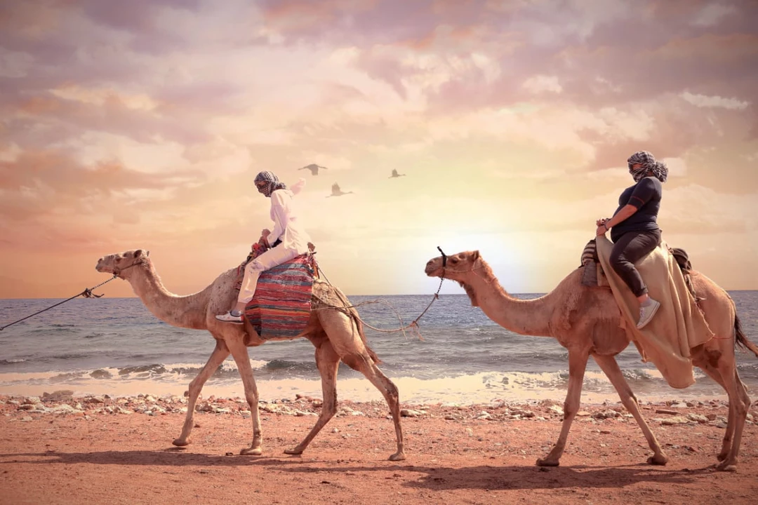 Очень интересная экскурсия, когда хочется посмотреть и ощутить все и сразу!