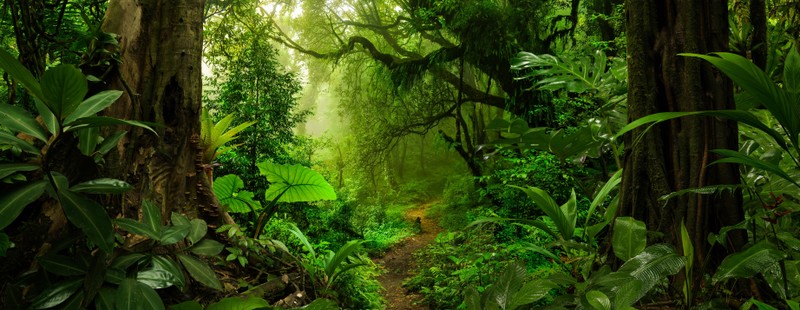 Фото отзыва 1: авторский тур "Жемчужина Центральной Америки: исследуем природу Коста-Рики с биологом"