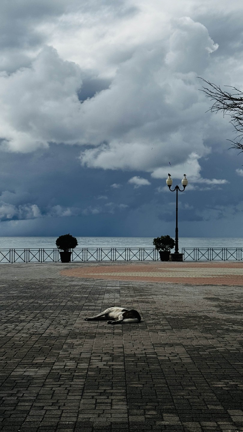 Экскурсия очень комфортная. Артур провез нас везде, куда мы запланировали