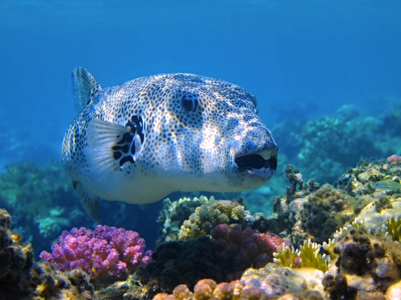 Круиз на яхте по островам Мадагаскара с блюдами от шеф-повара и погружением в жизнь местных