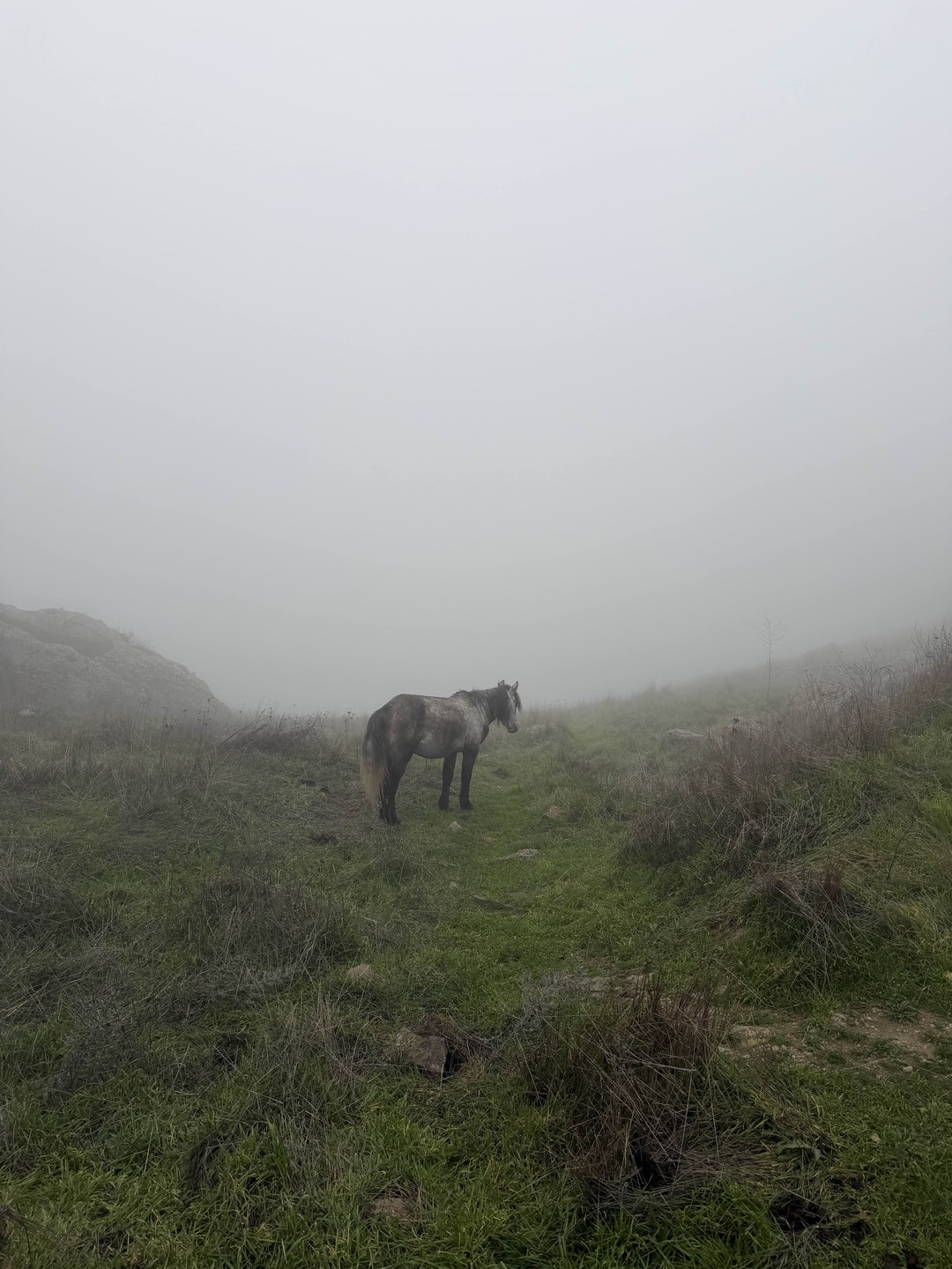 Великолепная, познавательная экскурсия. Наш гид Анар устроил нам незабываемую поездку по очень красивым местам. Погода немного