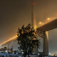 Фото отзыва 1: экскурсия "Ночные огни Владивостока (в группе)"
