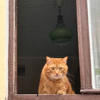 reviews img