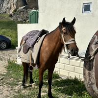 Фото отзыва 6: экскурсия "Радужные горы, Розовое озеро, гора Бешбармаг + чаепитие на вершине"