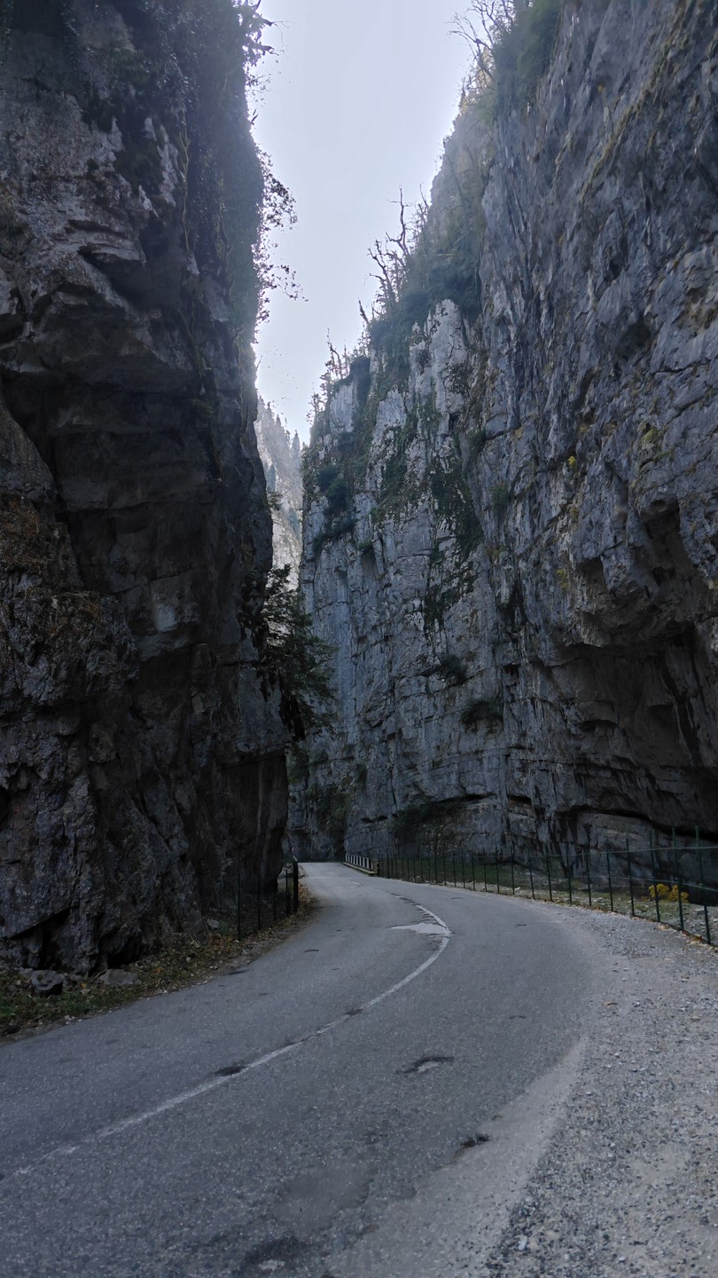 Отличная экскурсия, прекрасная природа Абхазии