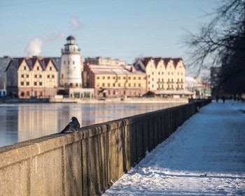 Фото отзыва 3: авторский тур "Новый год на&nbsp;Балтийском море: зимняя сказка на&nbsp;европейский лад"
