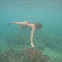Фото отзыва 3: экскурсия "Морская прогулка на частной лодке по островам Гили + снорклинг с черепахами"