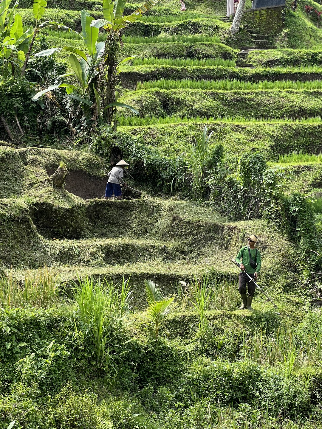 Экскурсия была потрясающей! Ваян чудесный рассказчик и веселый человек! Отлично говорит по-русски. Экскурсия не оставила нас