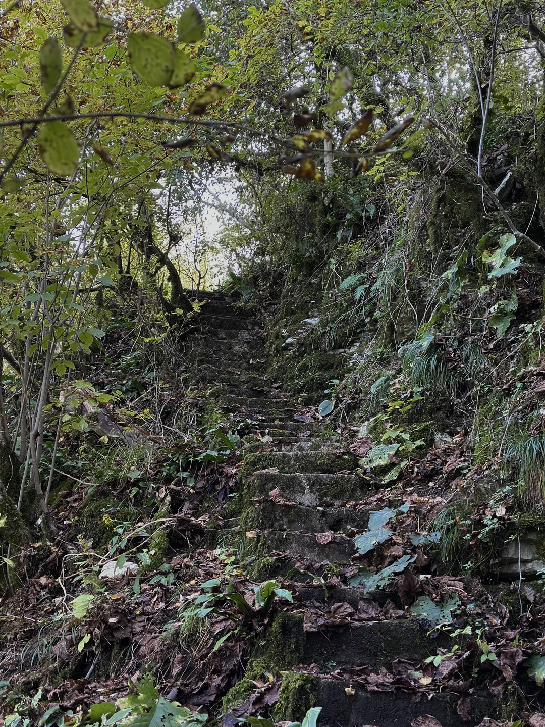 Начну с главного: подобные экскурсионные маршруты ни в коем случае нельзя избегать. Впечатления, эмоции и виды