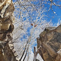 Фото отзыва 2: экскурсия "Нестандартная поездка в сказочный Домбай из Кисловодска"