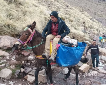 Возвращение в Касабланку