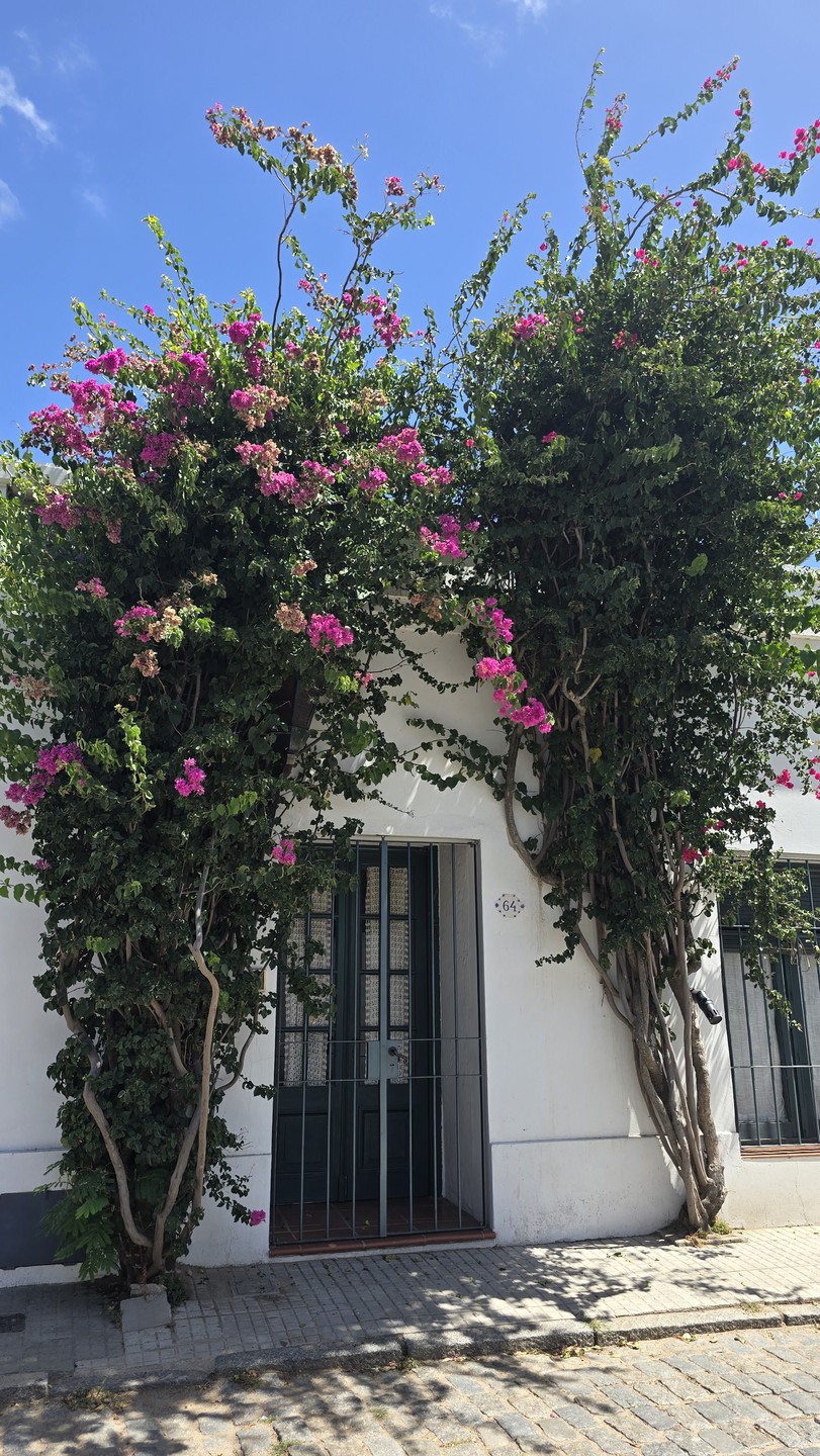 Елизавете большое спасибо за проведённое время и экскурсию, было ощущение что приехали к старой знакомой с