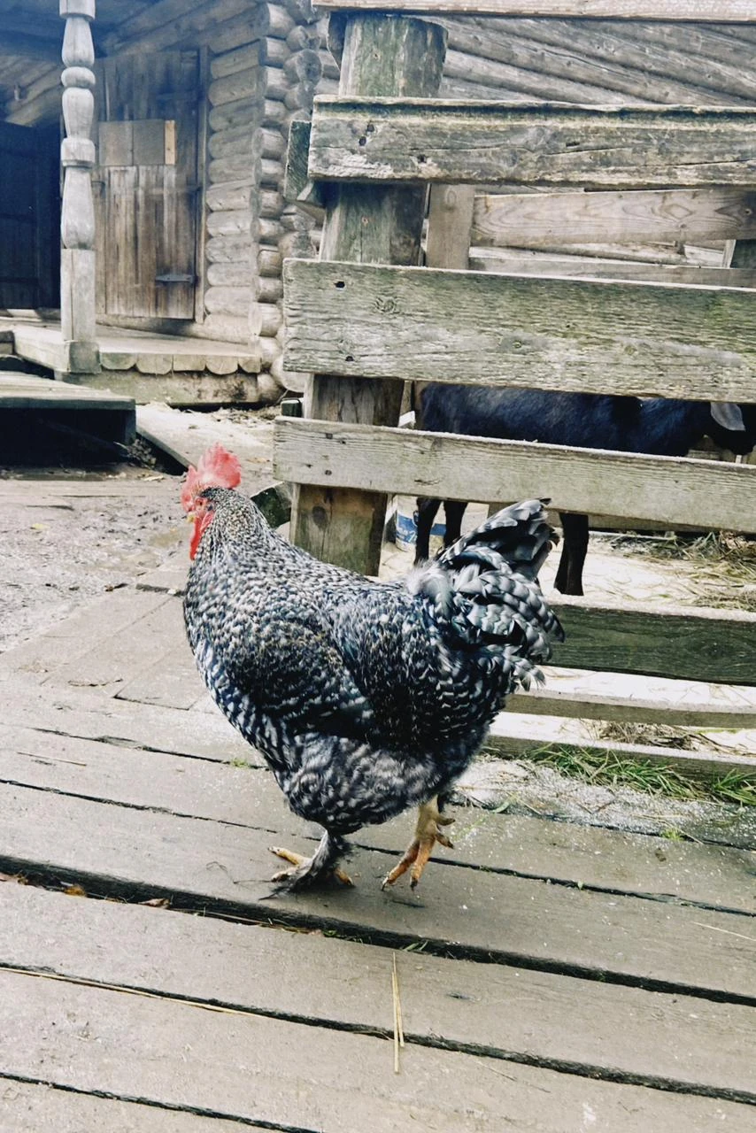 Я не особо люблю групповые экскурсии, потому что вечно "галопом по Европам".. но тут отмечу хороший