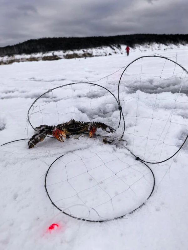 Сахалинская крабалка — клешни, море и приключения - Фото 6