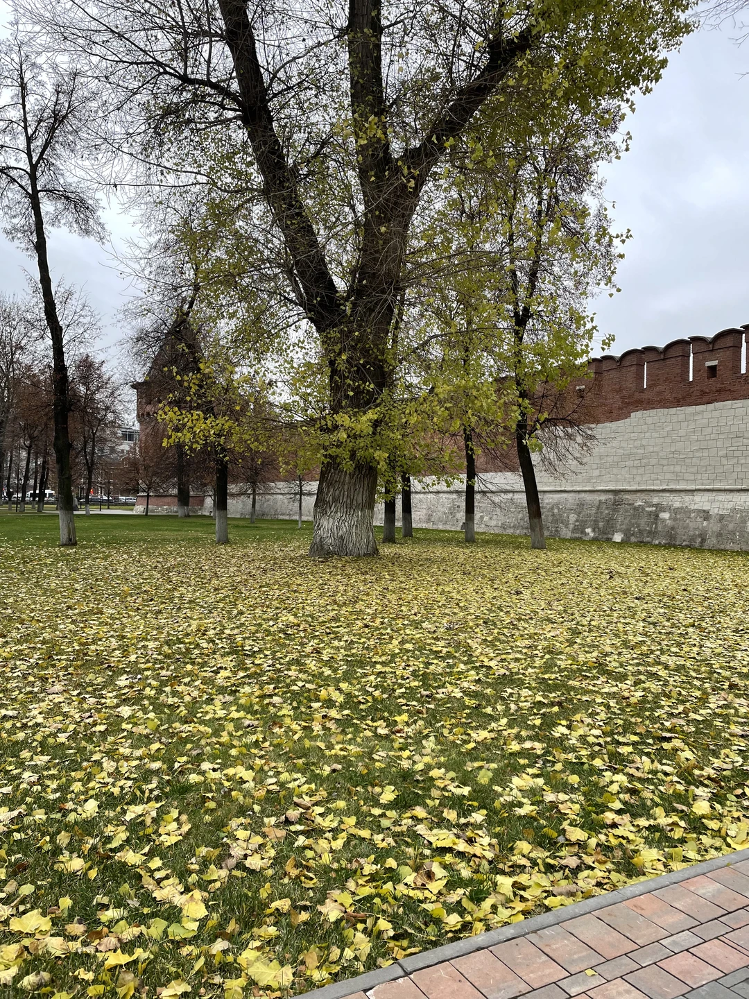 Оксана очень приятный человек и отличный экскурсовод! За два часа мы узнали много интересного о Туле во время прогулки по городу☺️