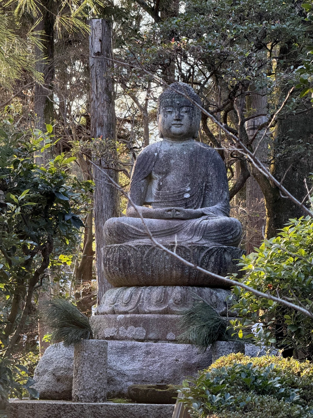 Экскурсия с Галиной в Киото была просто потрясающей! Она глубоко знает город, рассказывала увлекательно и с