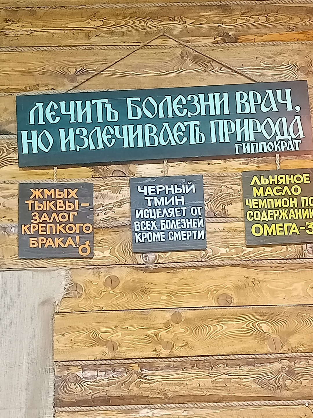 Рыбинск: прийти, увидеть, полюбить (Дина)