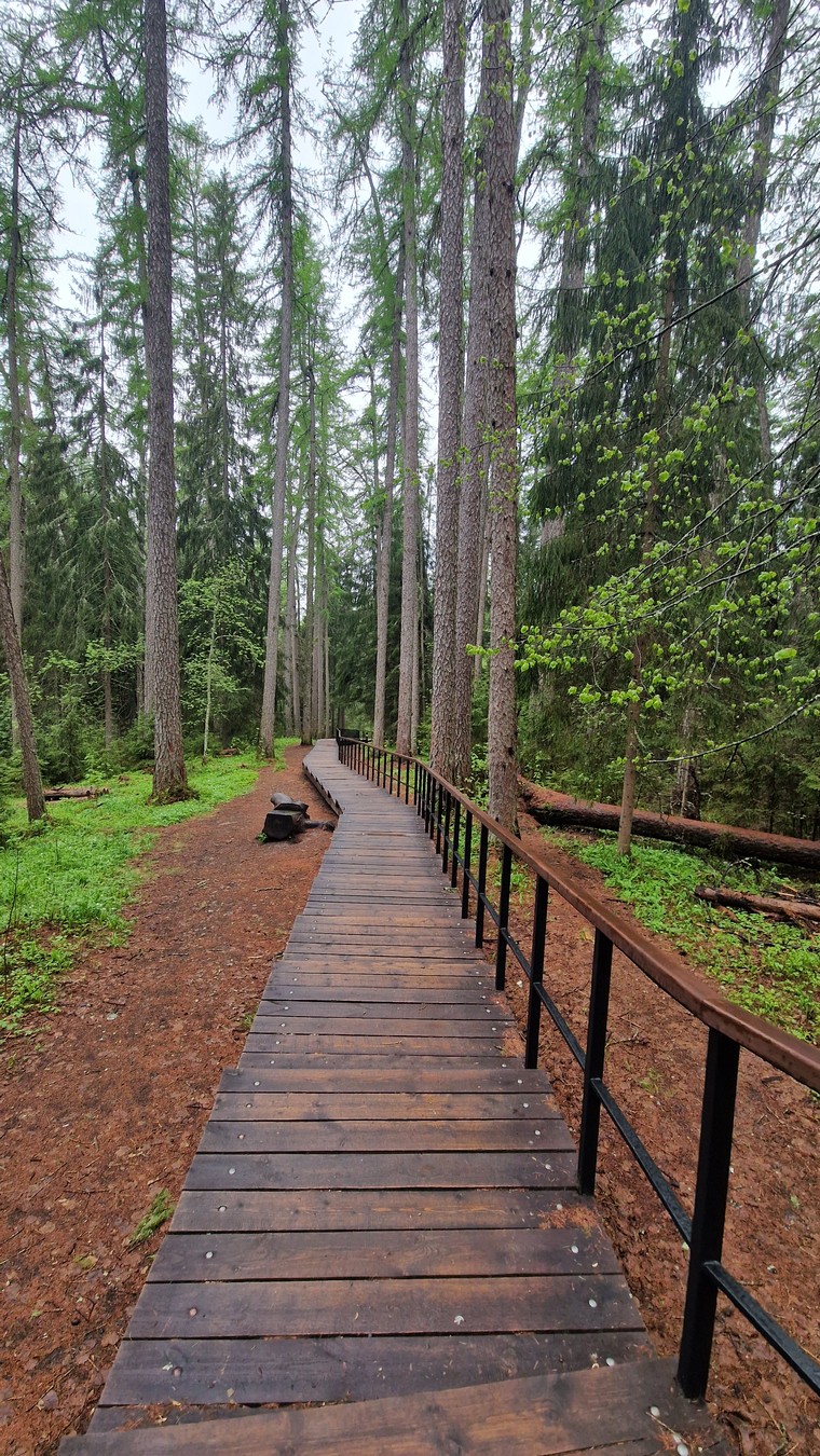 За рассветом в Линдуловскую рощу — из Питера (10/13)